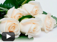 Ласковый май — Белые розы (караоке)